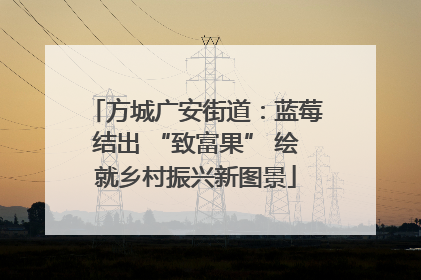方城广安街道：蓝莓结出 “致富果” 绘就乡村振兴新图景
